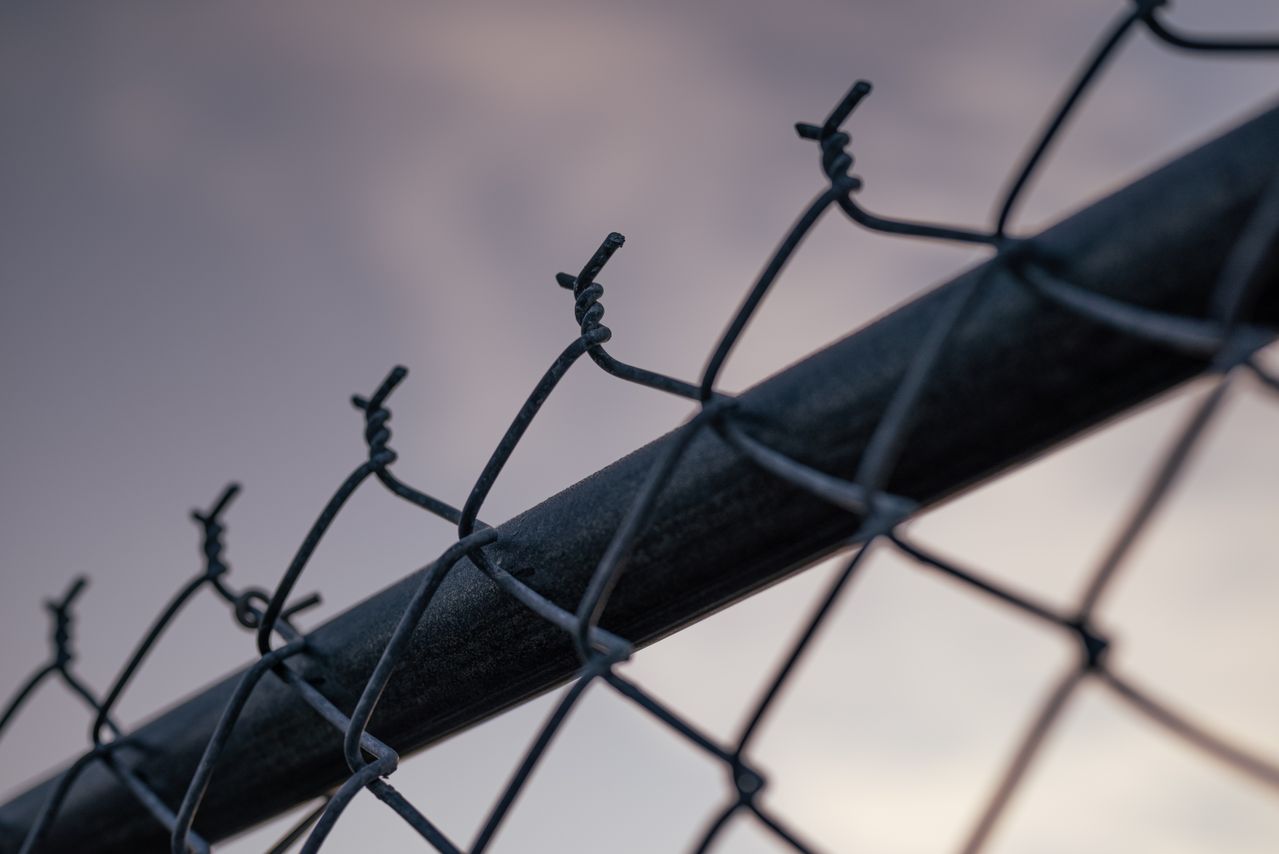 Trouvez des grillages de qualité sur un site de référence